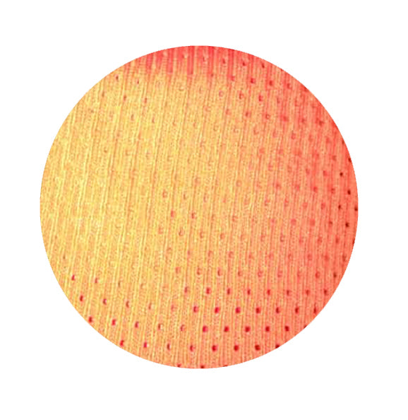 Elastic Steppiline